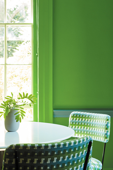 Buy 'Sage & Onions' Bold Green Paint Online | Little Greene