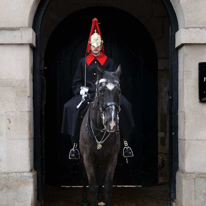 Little Greene at Horse Guards