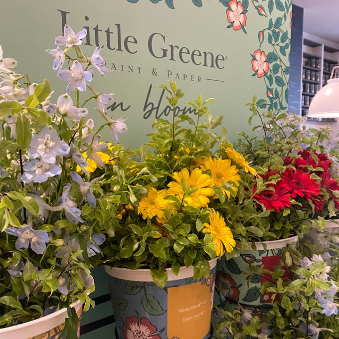 Little Greene in Bloom